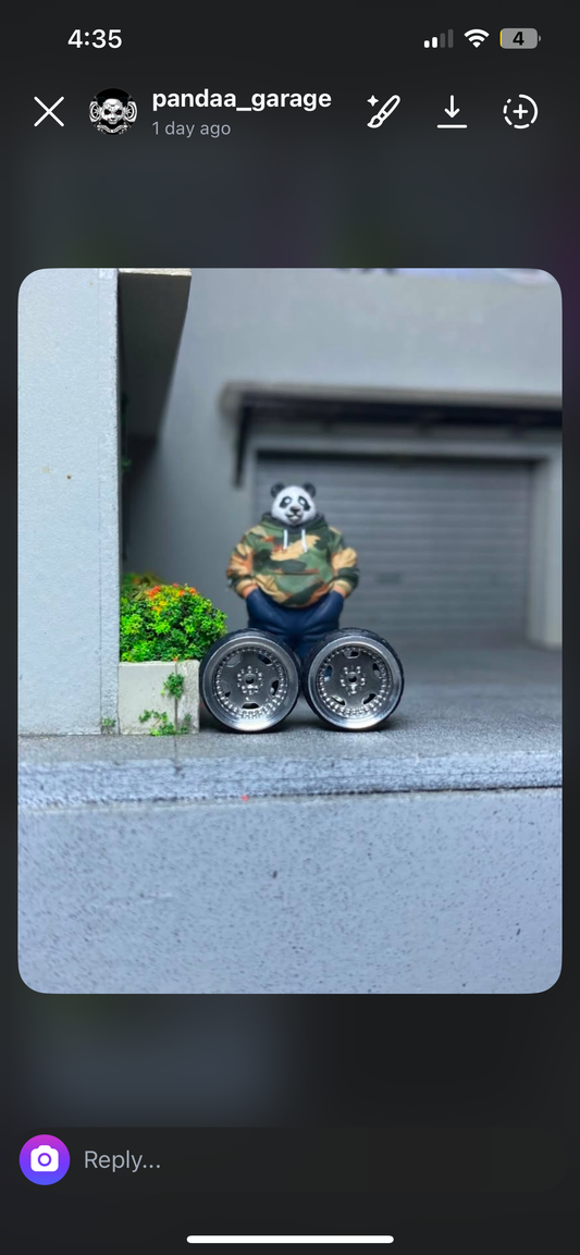 PANDA Modena